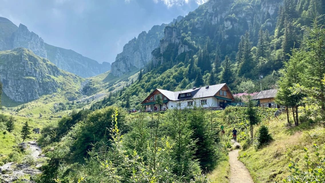 Cabana Mălăiești