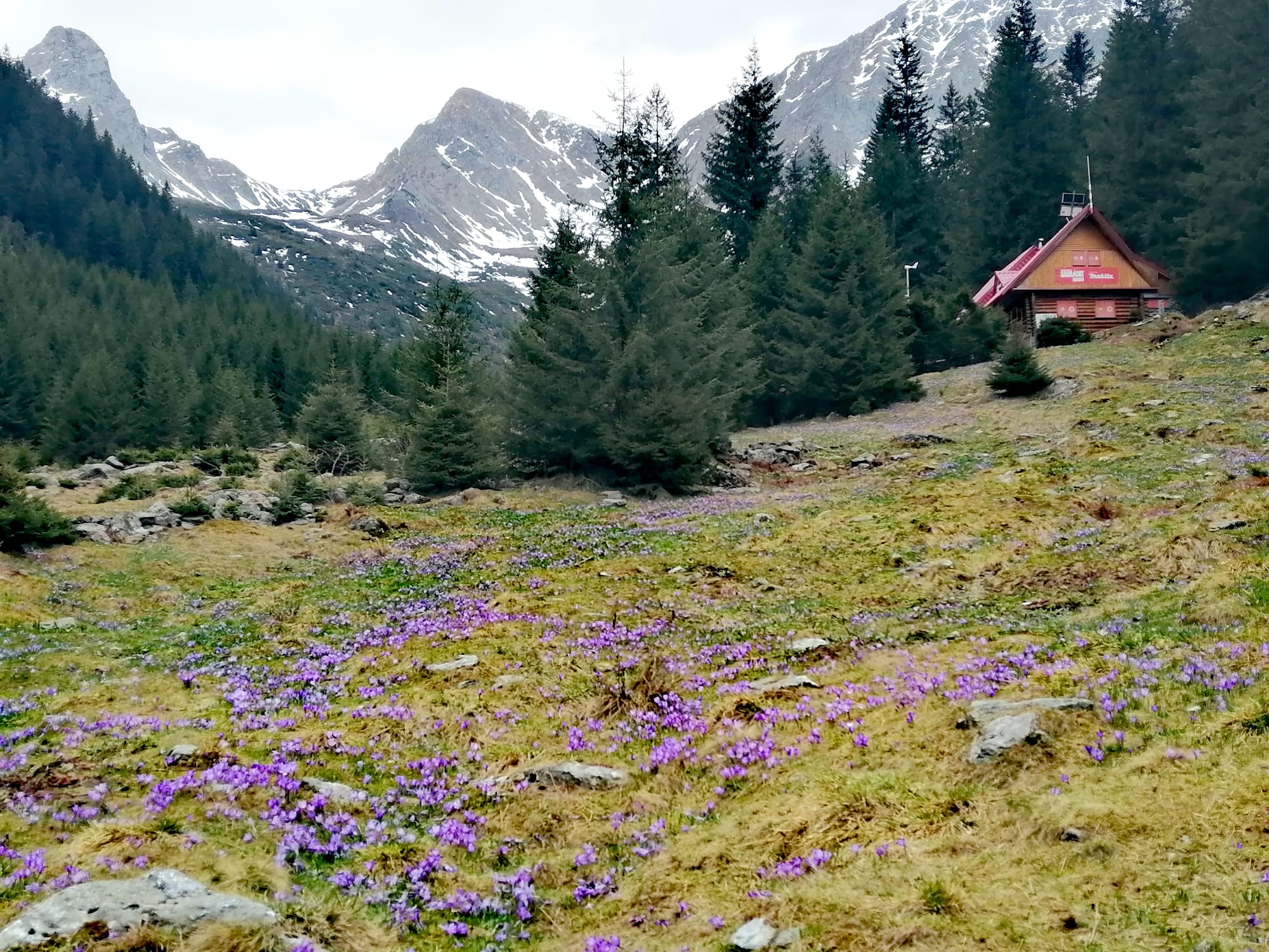 Sâmbăta de Sus → Cabana Valea Sâmbetei → Fereastra Mare a Sâmbetei