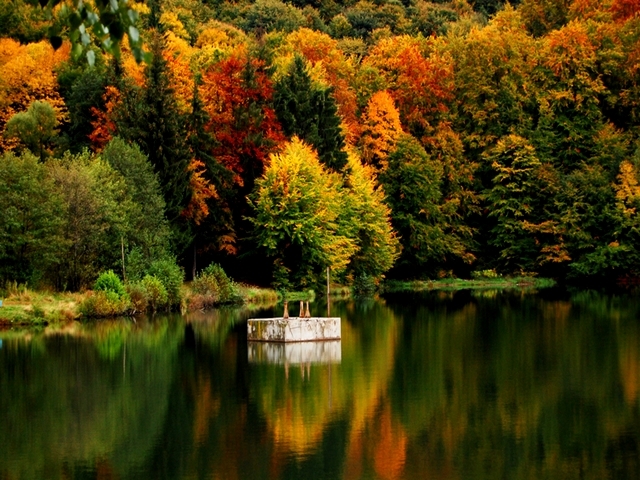 Stațiunea Mogoșa → Lacul Bodi