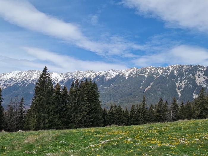 Fântâna lui Botorog → Cabana Curmătura