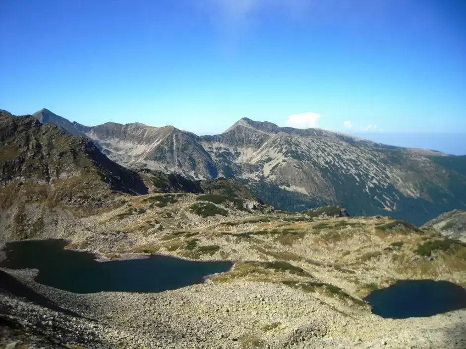 Cabana Pietrele → Șaua Pelegii (prin Valea Rea)